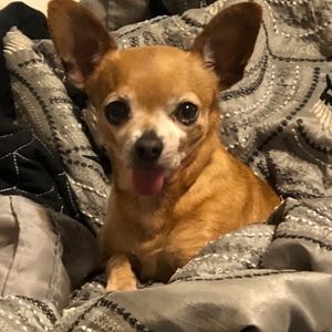 Meet your Posher, Christi